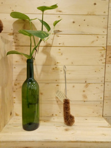 Brush, coco coir