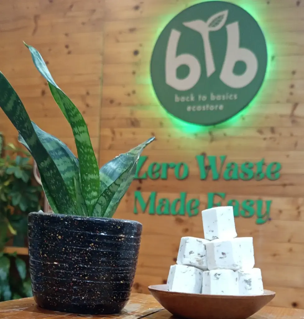 Toilet cleaning bombs - per gm