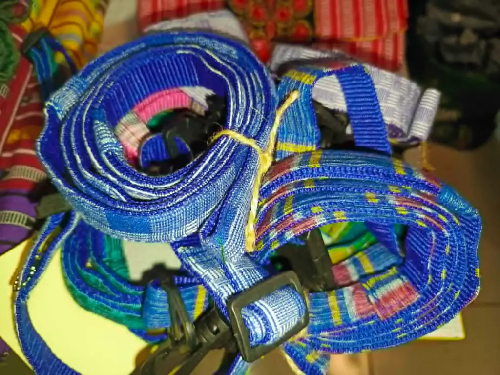 Pet leash and collar set