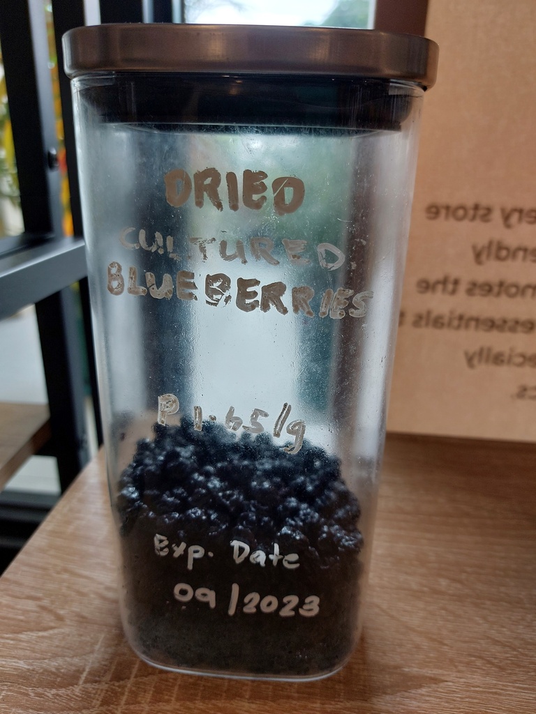 Blueberries, dried - per gm