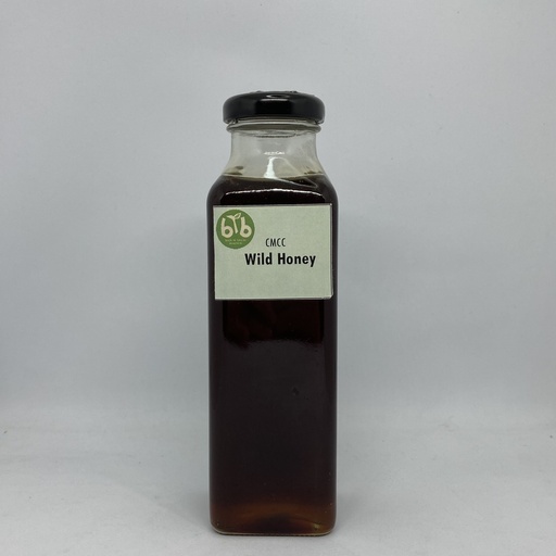 Honey, raw wild forest - per gm