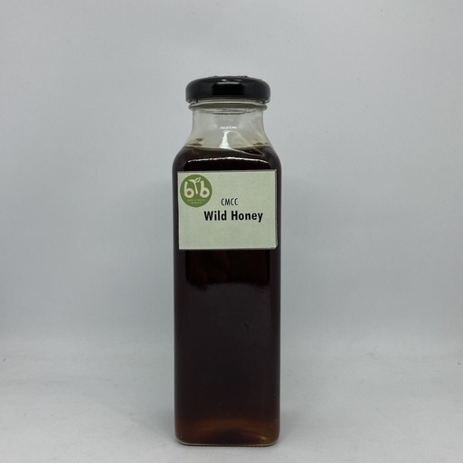 [G-WLDHONY-RF-1] Honey, raw wild forest - per gm